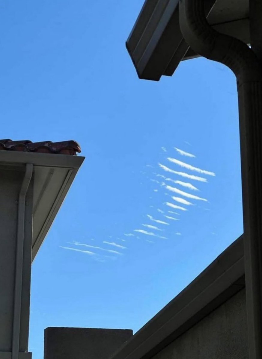 Tim Sharter, MBA tweet media