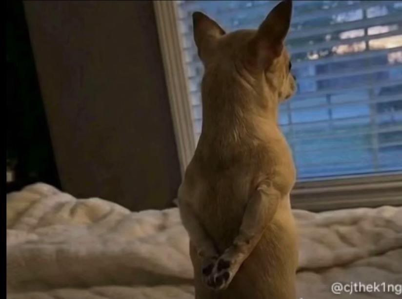 Professor X🧠 tweet media