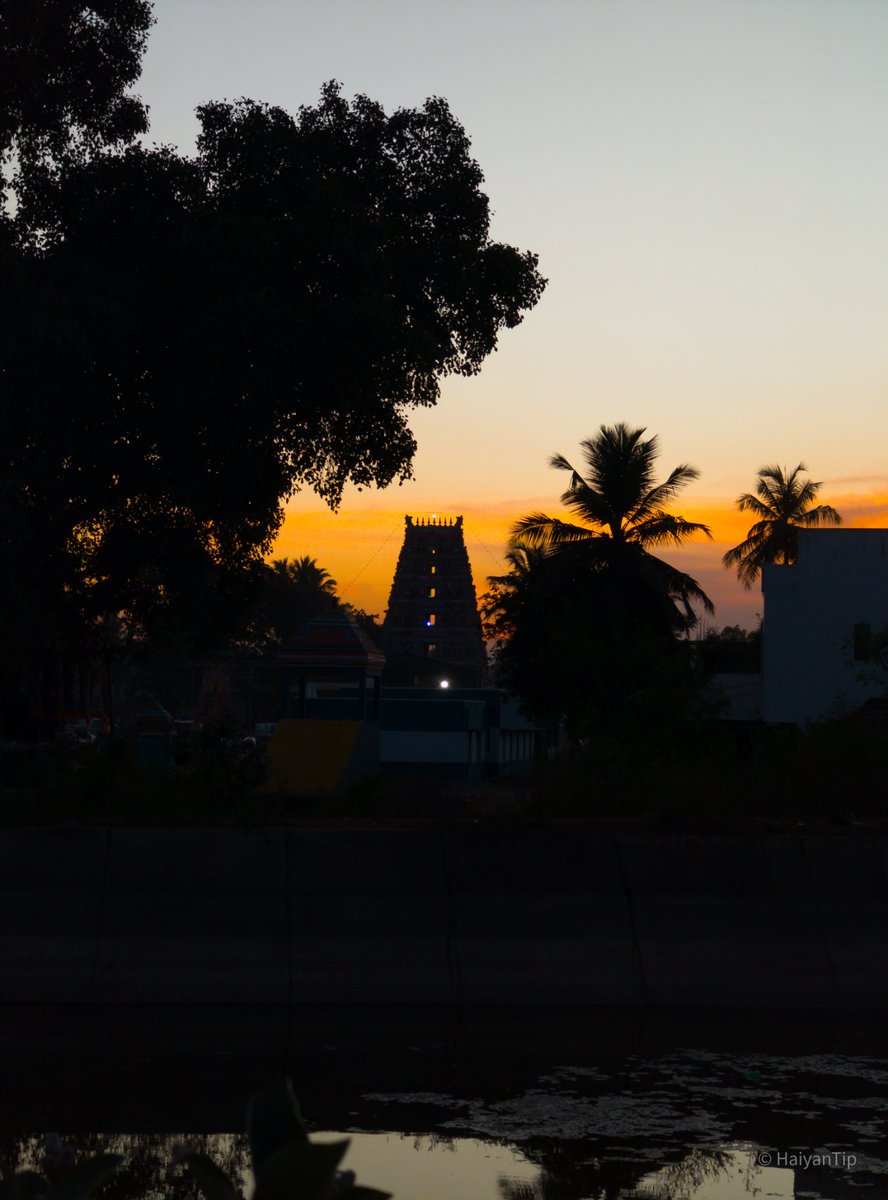 Haiyan Tip ⛈️ tweet media