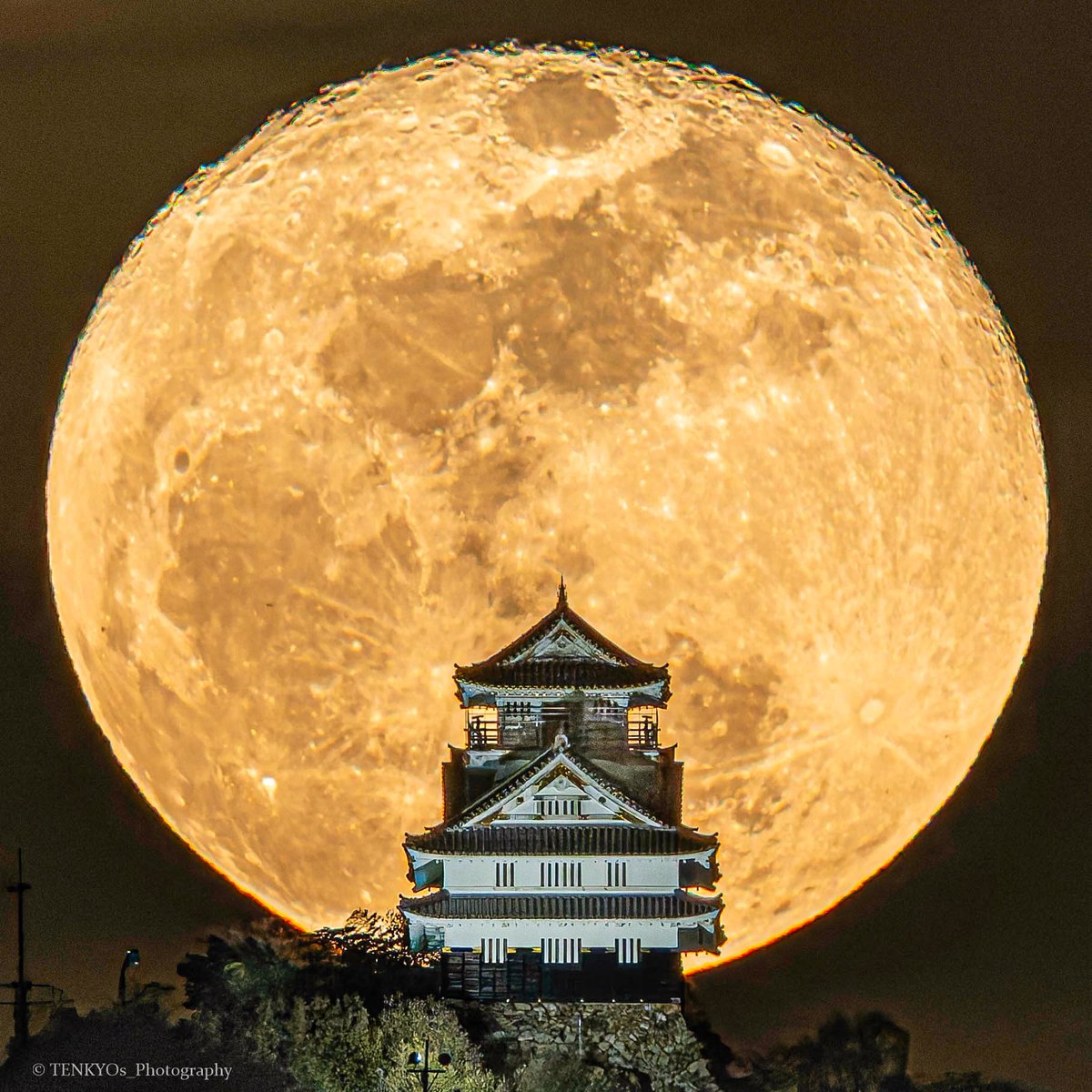 天京@Photography tweet media
