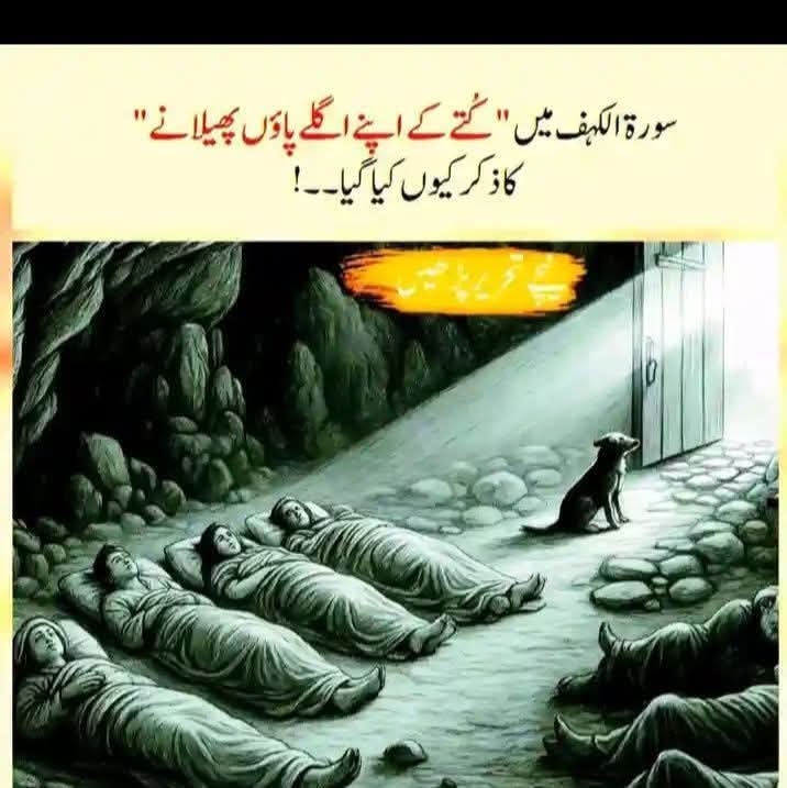 iram shahzadi(ارم رائے) tweet media