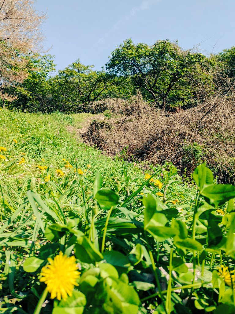 春田鮎🌅演&音🌈縁&恩 tweet media