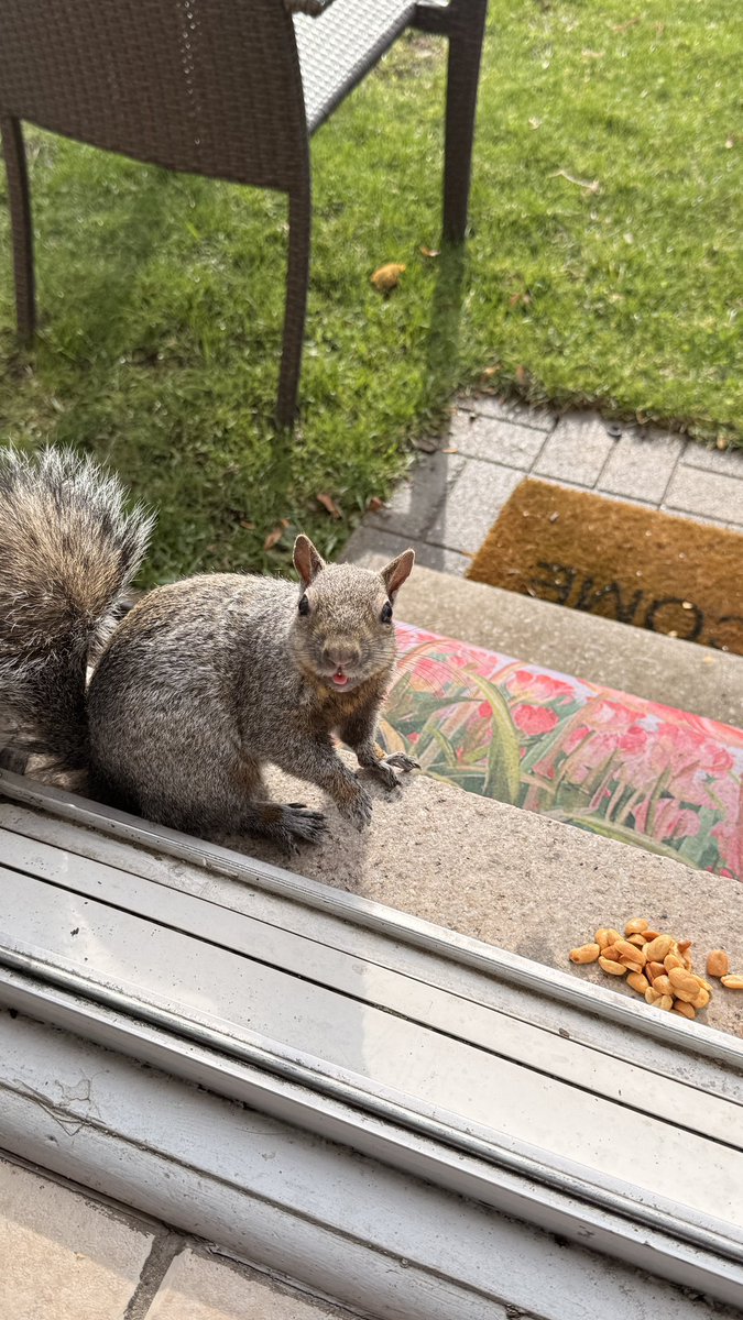 Prashant Dixit tweet media