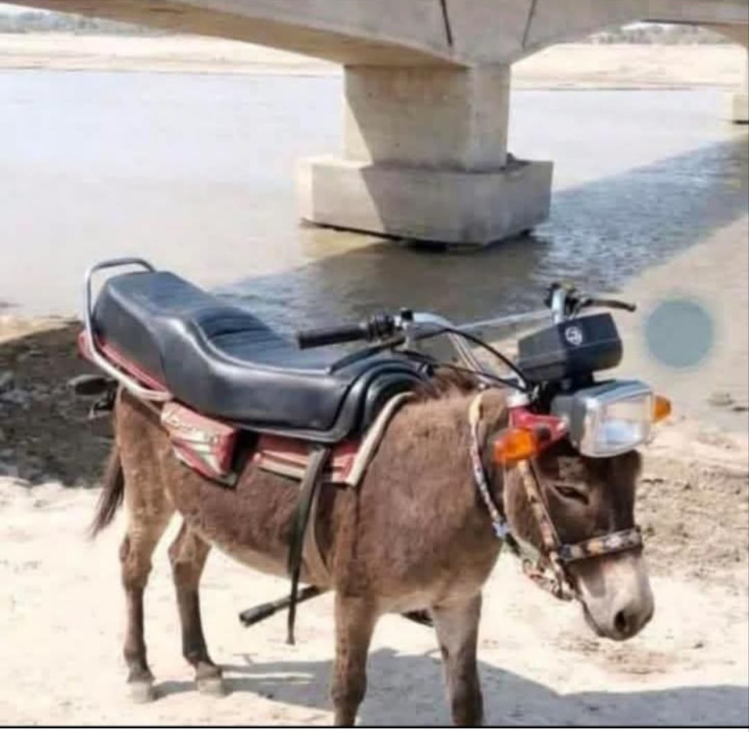 𝕏 Huma𝕏 tweet media