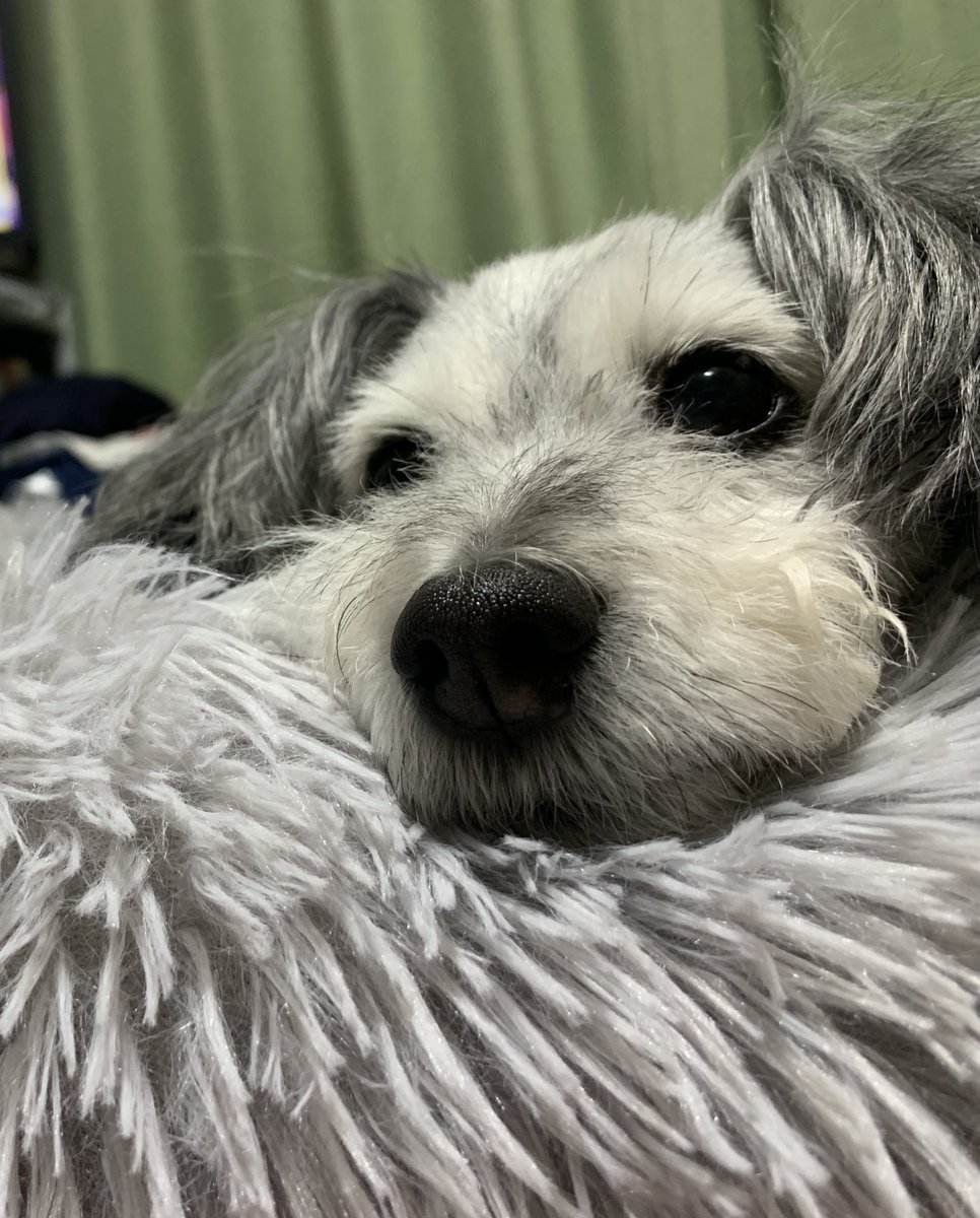 こんぶ tweet media