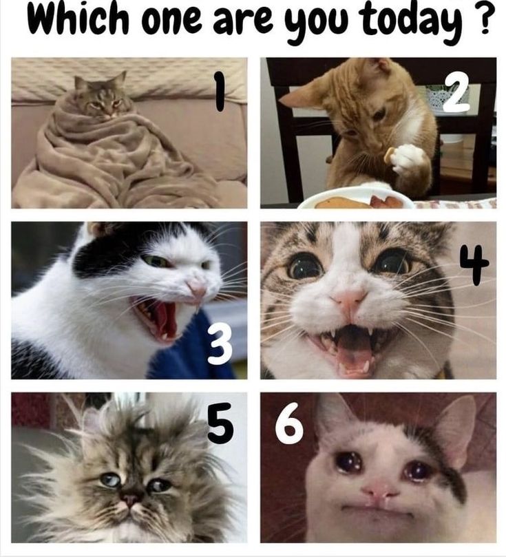 aar | ENHYPEN IS SEVEN 🤎 tweet media