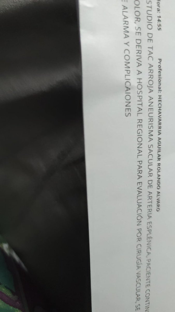I urgently need commissions. My mother has a benign tumor in her kidney and an aneurysm, and we are now considering her hospitalization.

Please read the card for more information about commissions.

puppypupperin.carrd.co/#section01