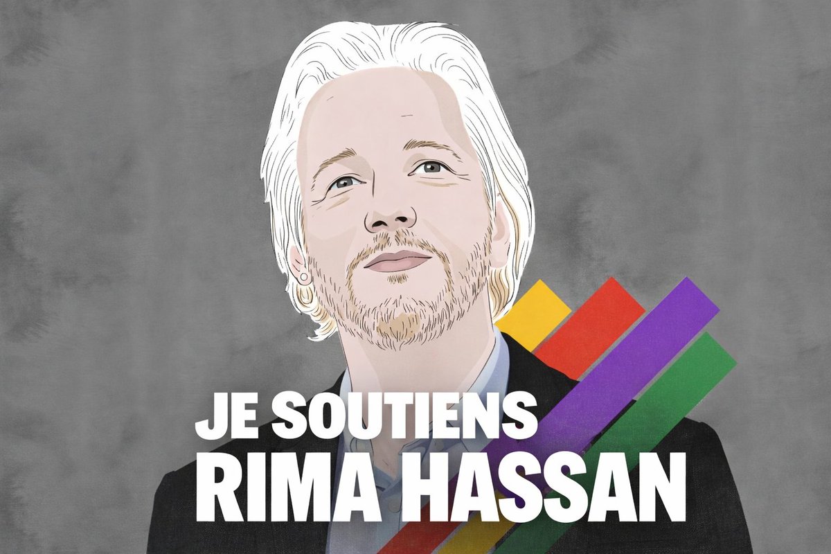 Bob 🐢 tweet media