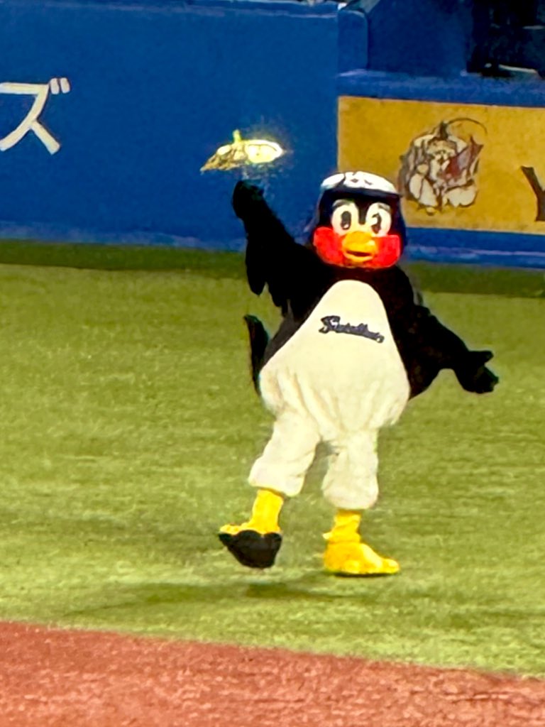 進藤あまね tweet media