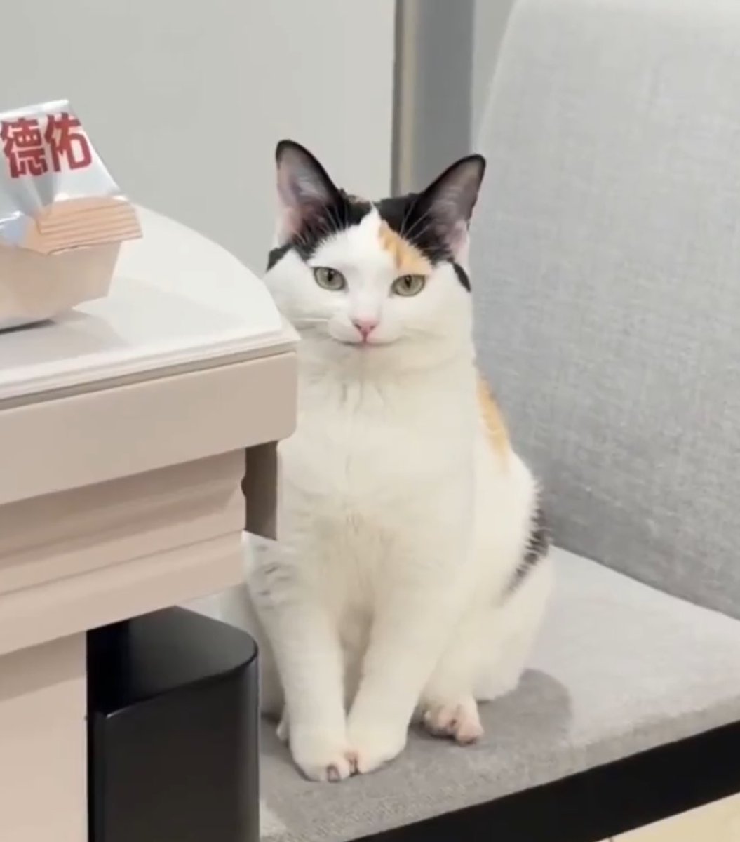 ใกล้เคียง 
#BuildJakapan <a href="/JakeB4rever/">BIU.</a> #Beyourluve #บิวจักรพันธ์