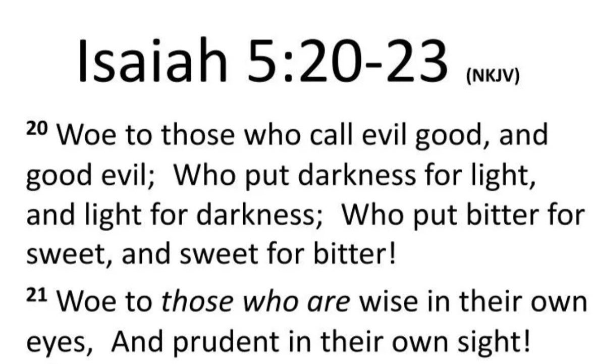 HolyLamb tweet media