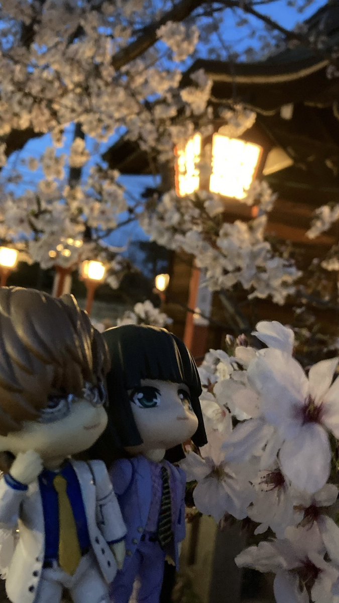 やぎこ tweet media