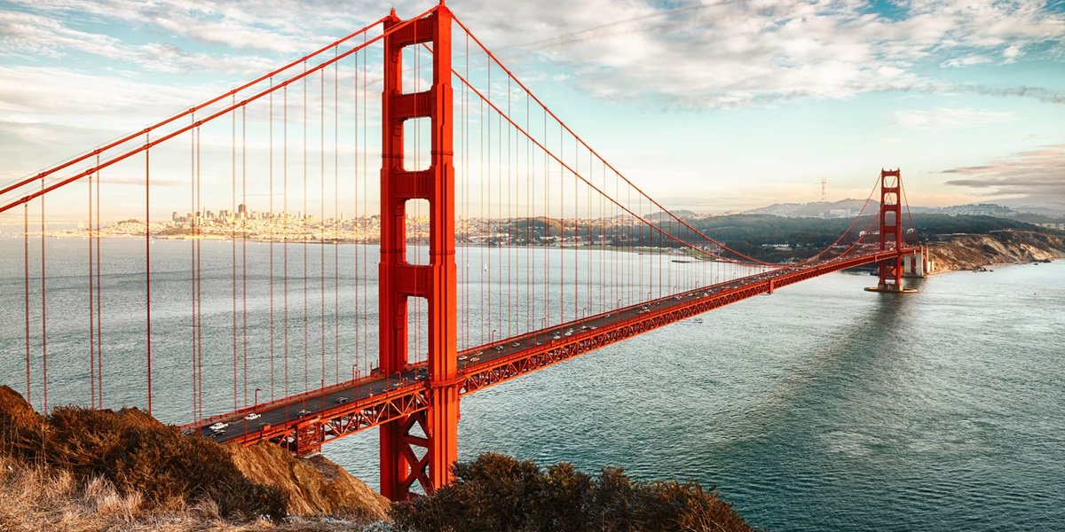 China Now tweet media