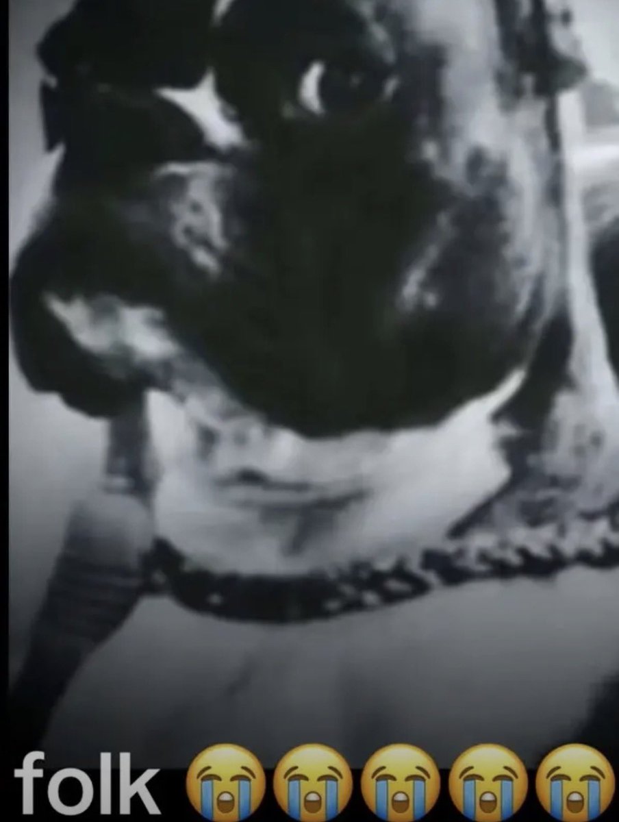 idkrandomguy tweet media