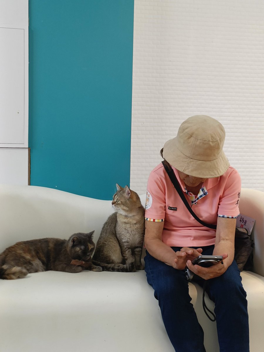 🌈熊恩爸比🐻‍❄️（Shawn） tweet media