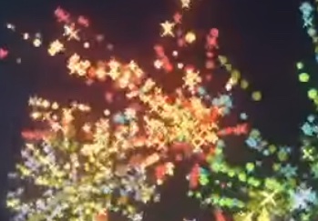 Bones :3 🏴‍☠️🦇🐀🚦💥❤️💙 🏳️‍⚧️ tweet media