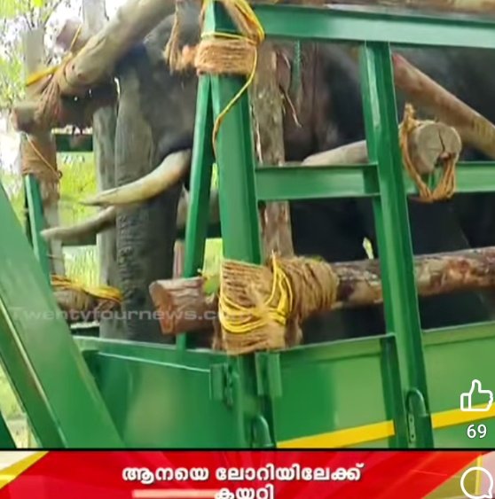 aleena206852's tweet photo. Muttikomban was transported to #slavecamp. The news says there is deep wound on the trunk, for treatment he was caged. I smell a fake story.
1. The news says Forest dept filed an affidavit before the #Kerala #highCourt stating they would #radiocollar and release him back to the forest.
2. Capturing and loading done secretly.
3. Arun Zacharia the man of lie was the team captain
4. The picture of wound is propagated by media, no video.
5. I doubt the trunk was tied to the bottom while transporting??
Completely mysterious... for 4 vote😡
@wii_india
@Tarionpartridge
@joedelhi
@domdyer70
@ESSO_NCESS
@TruecopyThink
@Son_of_Space
@SerraoMarcus
@TheViditsharma
@anikasleem
@PhaedraXTeddy
@ElephantsRule @ElephantsTN @Stacy09804068 @geiger_harald @PieterseMarc @malatis8 @RobertoCardel18 @VanGzip65 @stae_elephants @Paul_Vegano @veganmim @pepe_nature @Lucycrew7 @tinker_bell0 @EllieCG11 @AMAZlNGNATURE @ajpReact @AnimalJustice @JohnOberg @LaraAAnderson1 @LEAPyeg @NiallHarbison @PETAUK @WildlifeSOS @ProtectTheWild_ @Protect_Wldlife @Aiwcrteofficial @PetaIndia @NiallHarbison