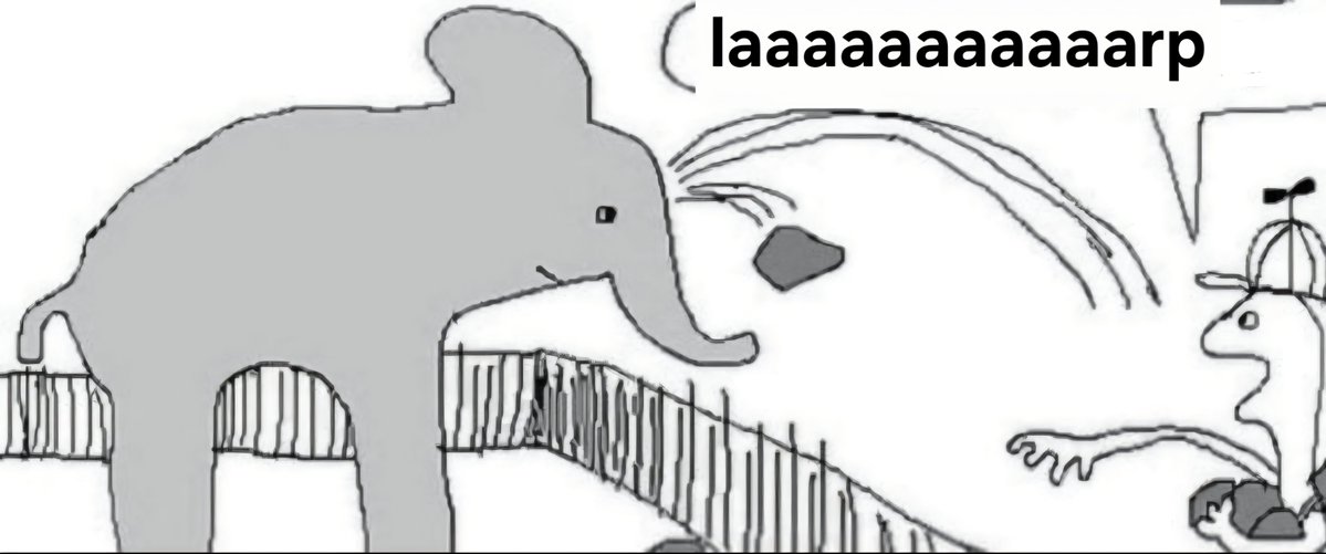 Musberdo tweet media