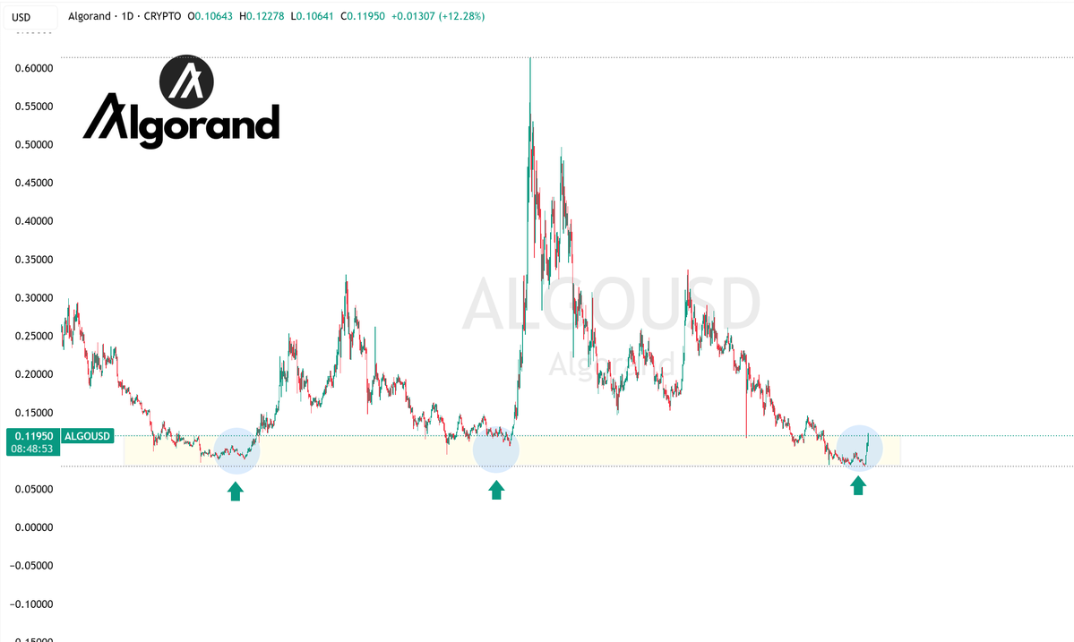 Crypto Winkle tweet media