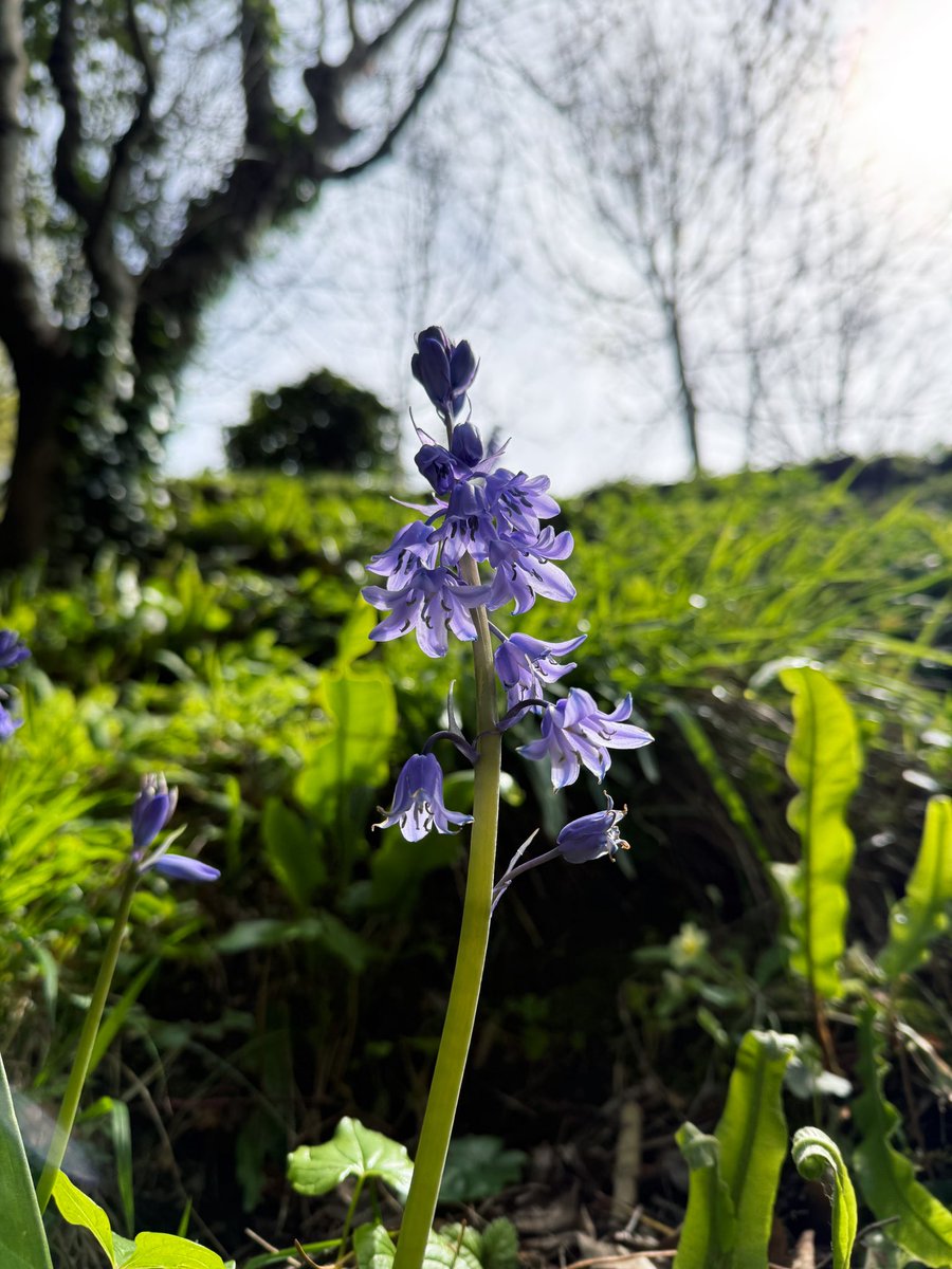 Aryna Livadari tweet media