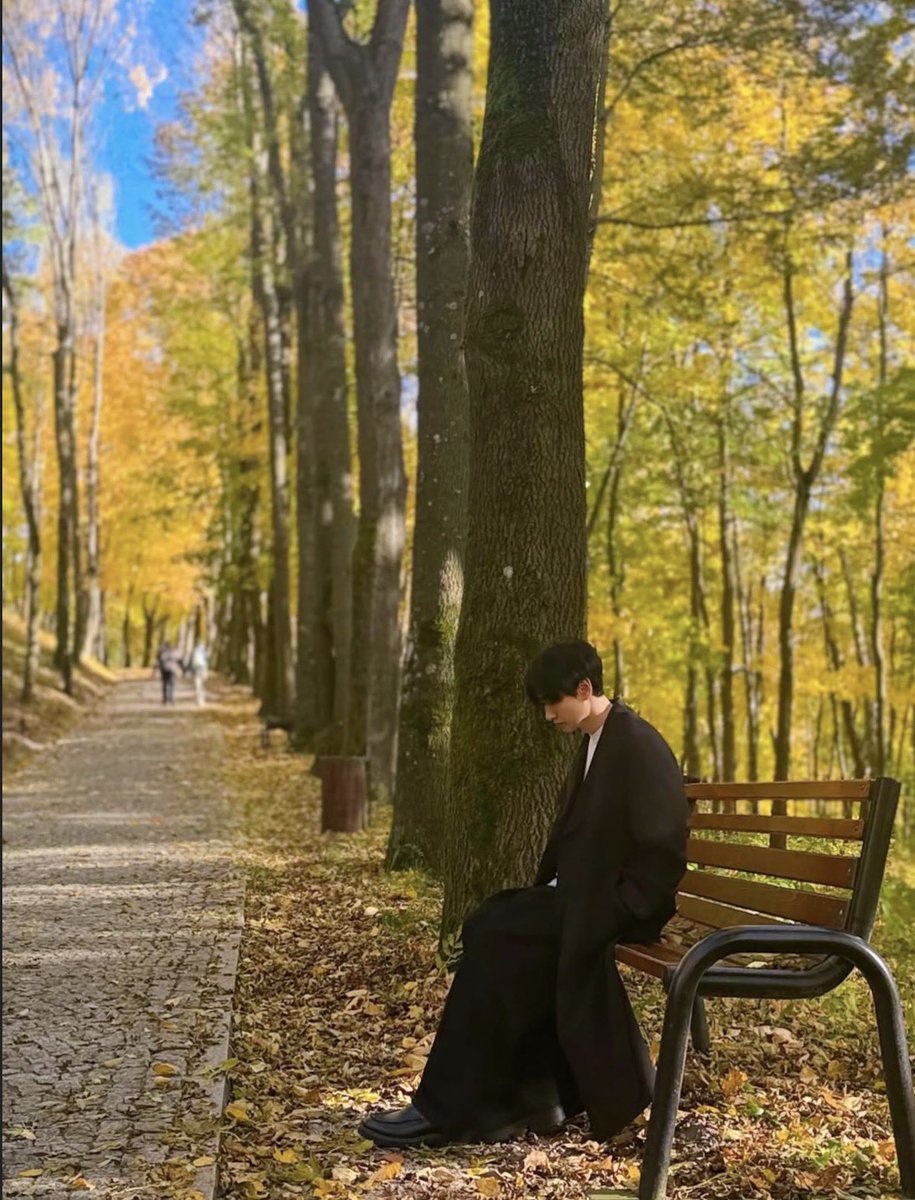 まめだいふく tweet media