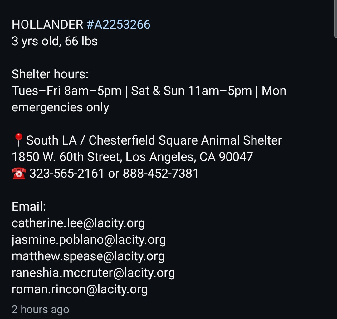 8415_n's tweet photo. HOLLANDER #A2253256
3yo.#pittie #pittielove #pittierescue #pittielover
He's living & heartbreaking proof just how mislabeled #pitties are: the friendliest, happiest #dog just waiting to brighten up your life.#SouthLA will kill him FRI 4๏ธโฃ/3๏ธโฃโผ if no one cares to #adopt or #foster. https://t.co/IJqW5Ps1ZJ