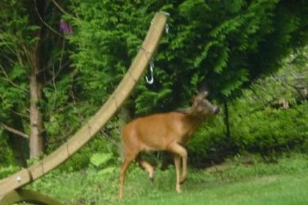 Tim Brayford Garden Design tweet media