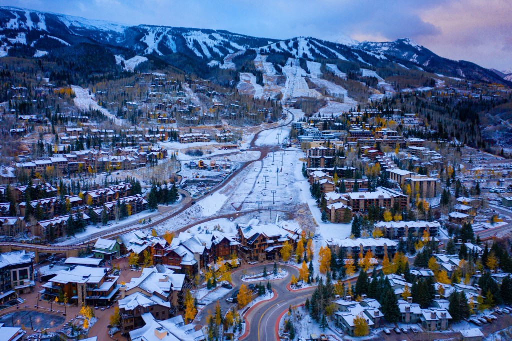 Royal Polar ⚔️🏰 tweet media