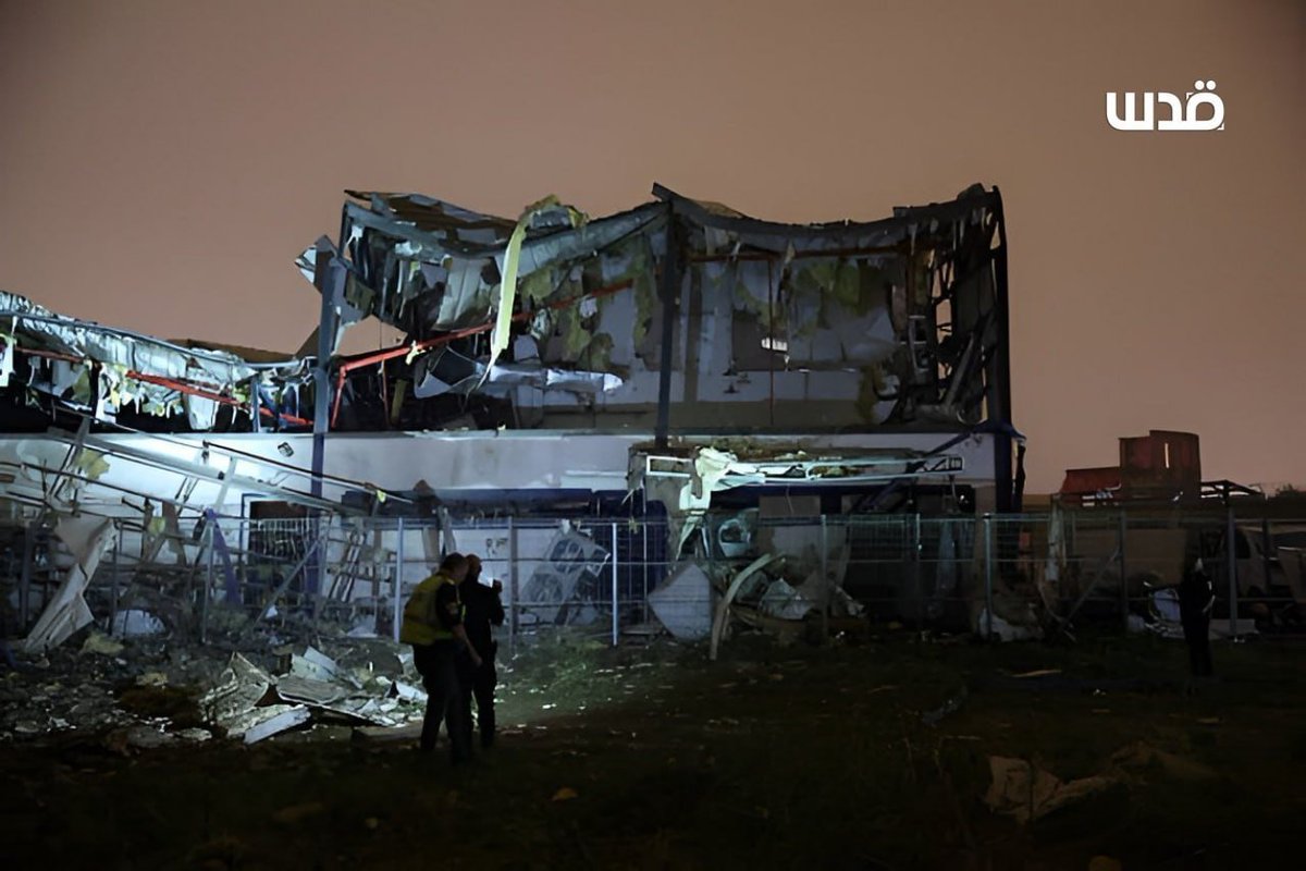 مصطفى tweet media