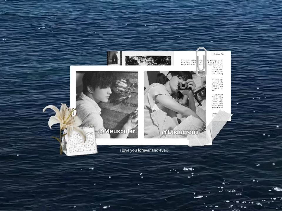 Woodsy Corner. tweet media