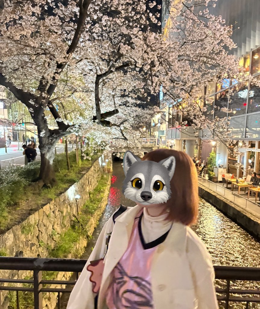 miku(美空)🐺99💎🩵 tweet media