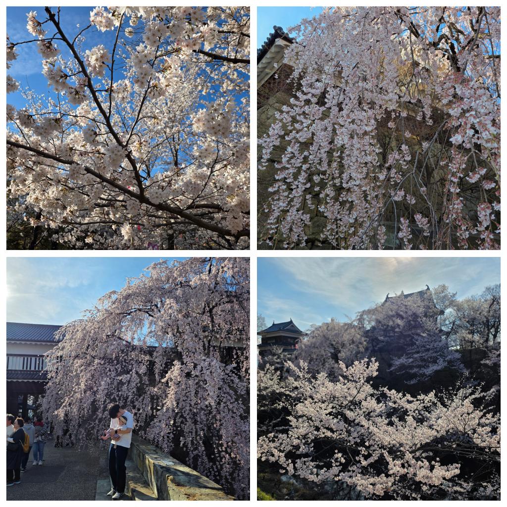 karuizawaslim tweet media