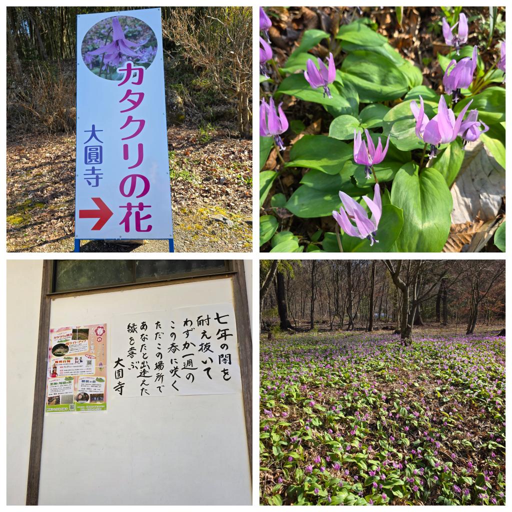 karuizawaslim tweet media