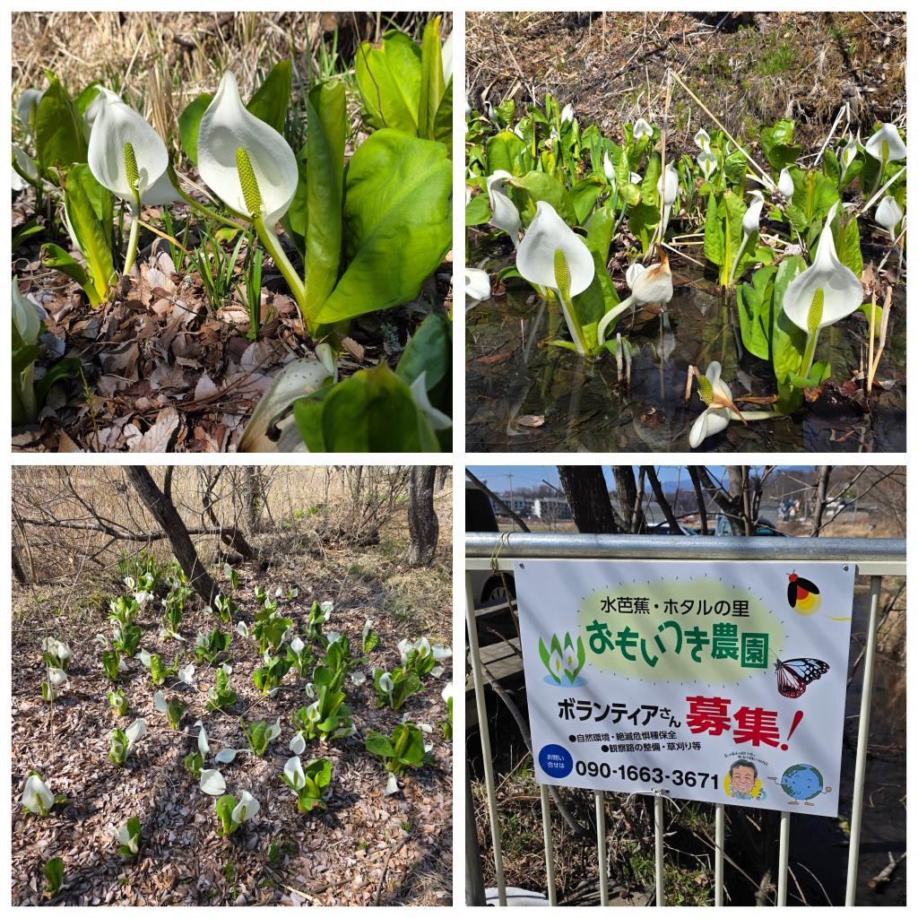 karuizawaslim tweet media