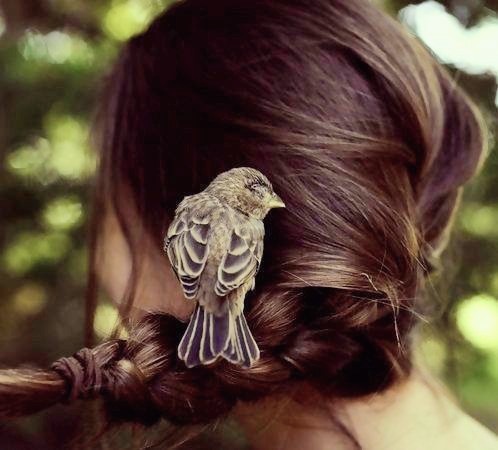 Crystalik ⭐️ tweet media