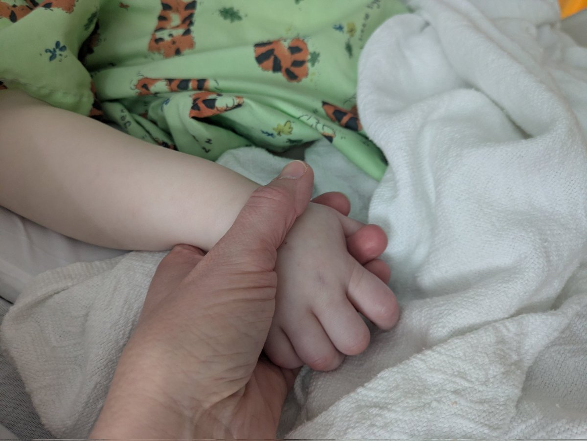 Katy Metzger tweet media