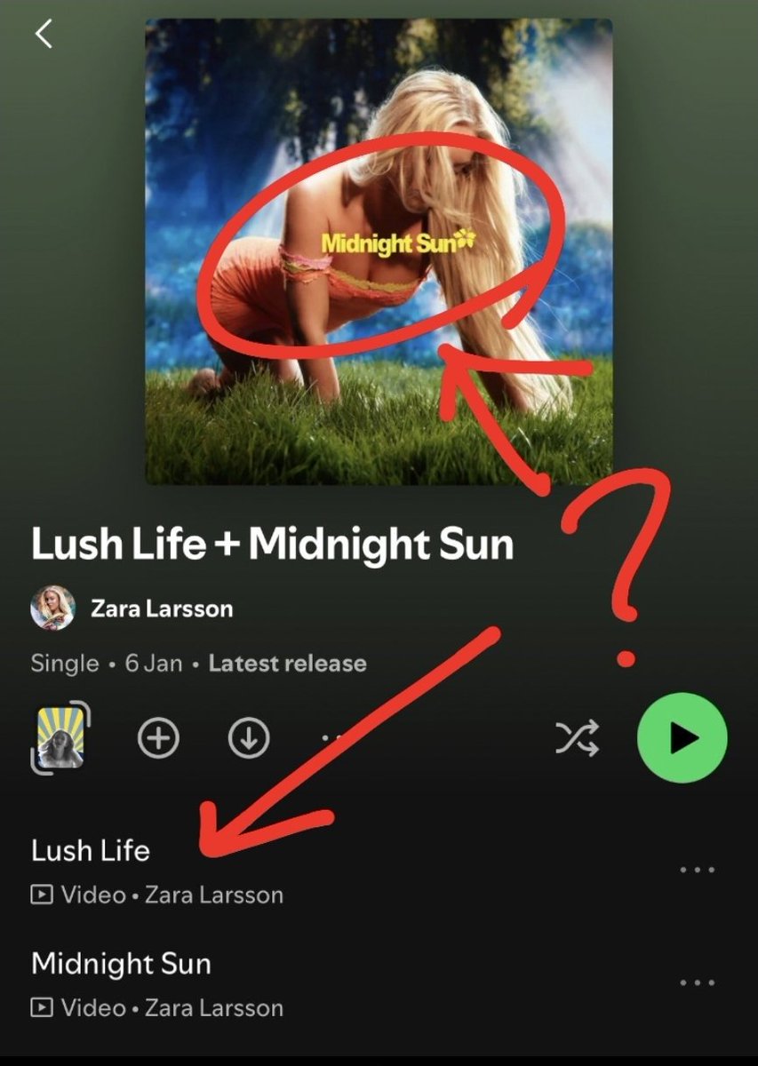 miso🍲🍉 tweet media