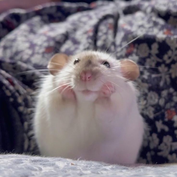 남남수수학학원원장장녀 tweet media