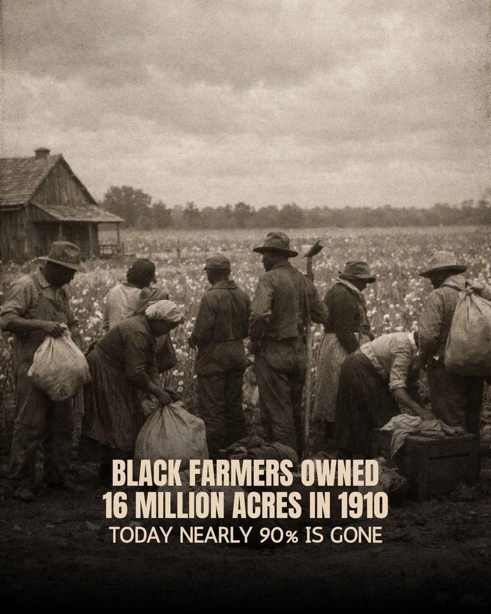 Typical African tweet media