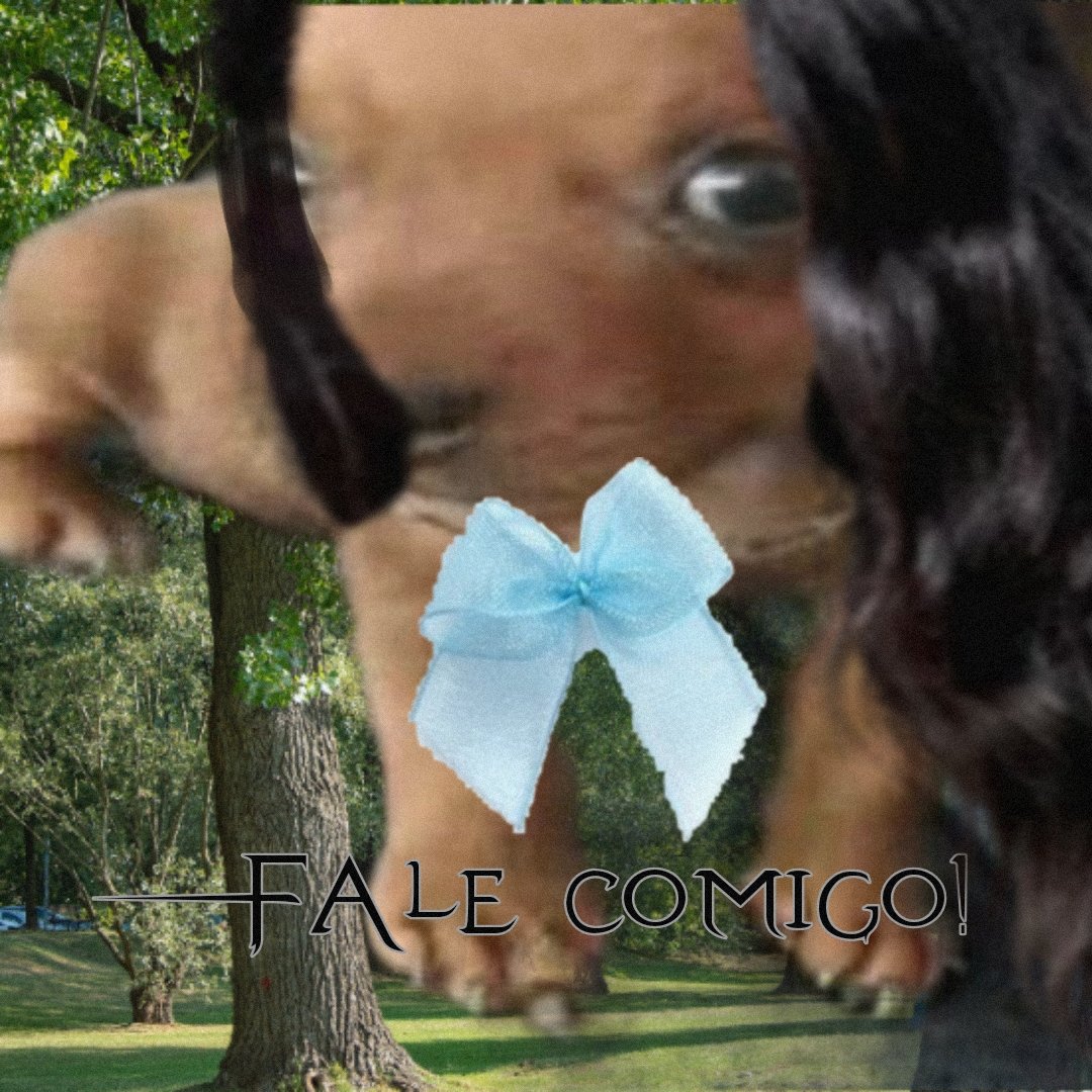 Iucis the open door meteora da silva | WWYF tweet media