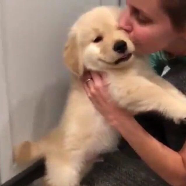 ♡ 𝓦𝓪𝓷𝓲 ♡🐾 tweet media