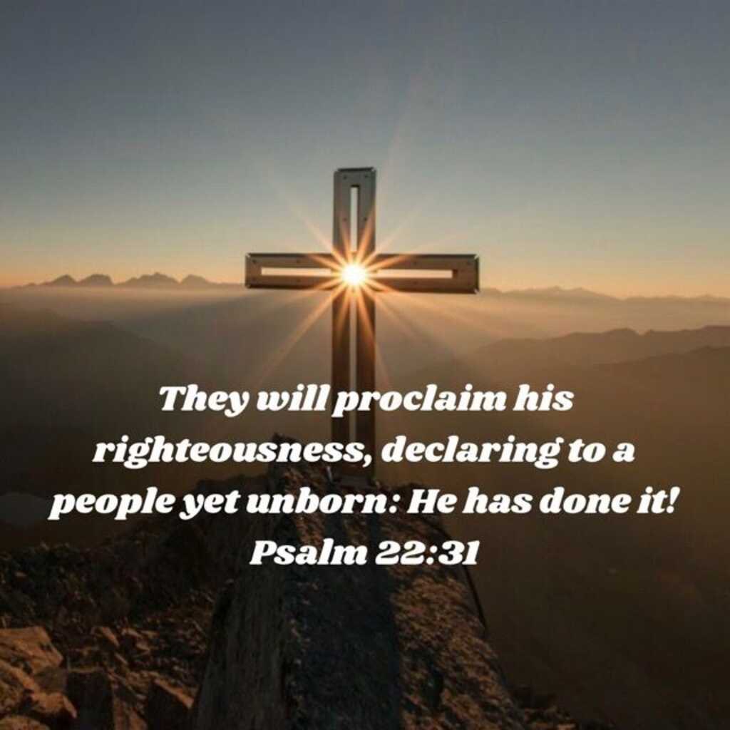 Jim Suttle tweet media