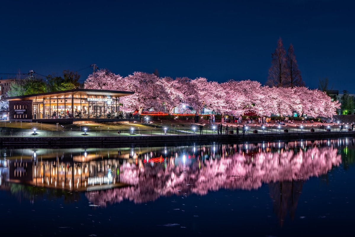 Hiroyuki/Hirano 平野 博之 tweet media