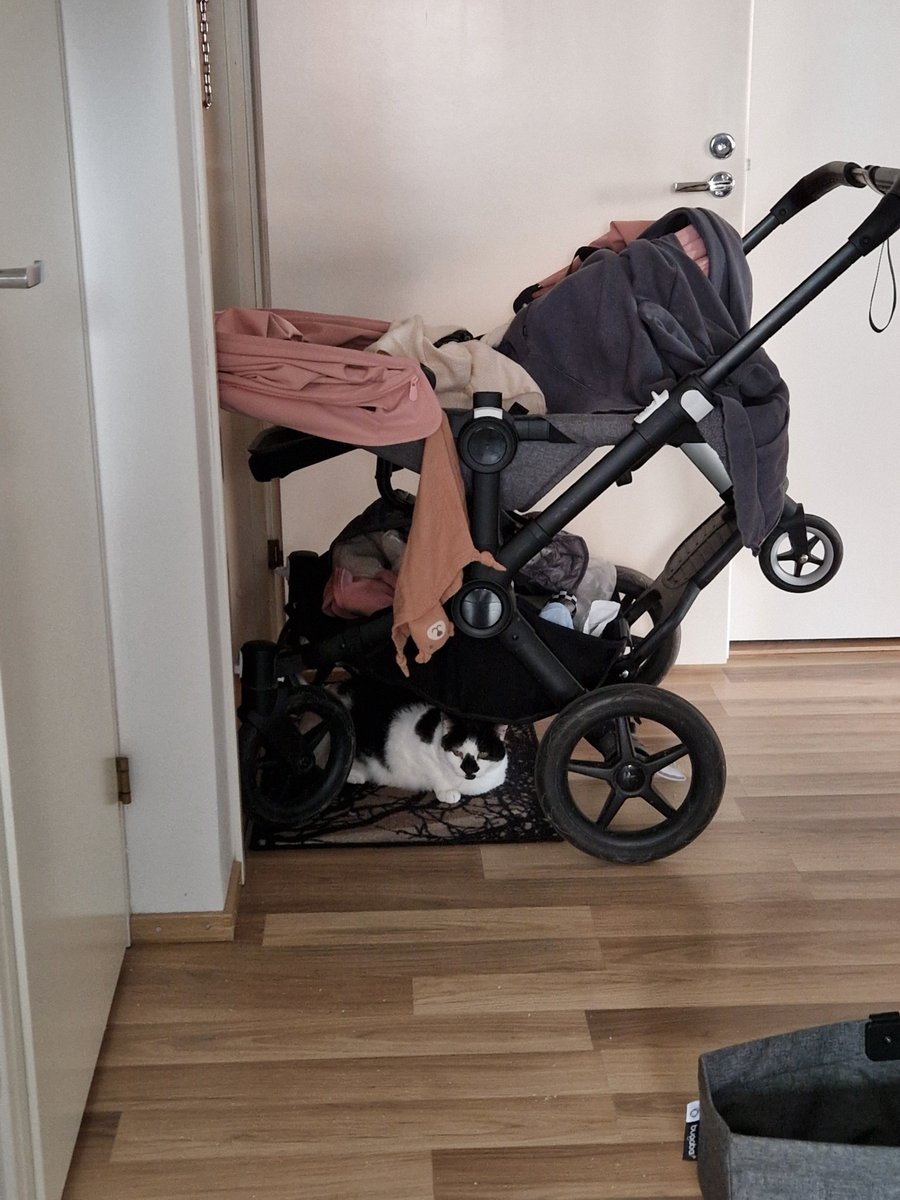 supar mario tweet media