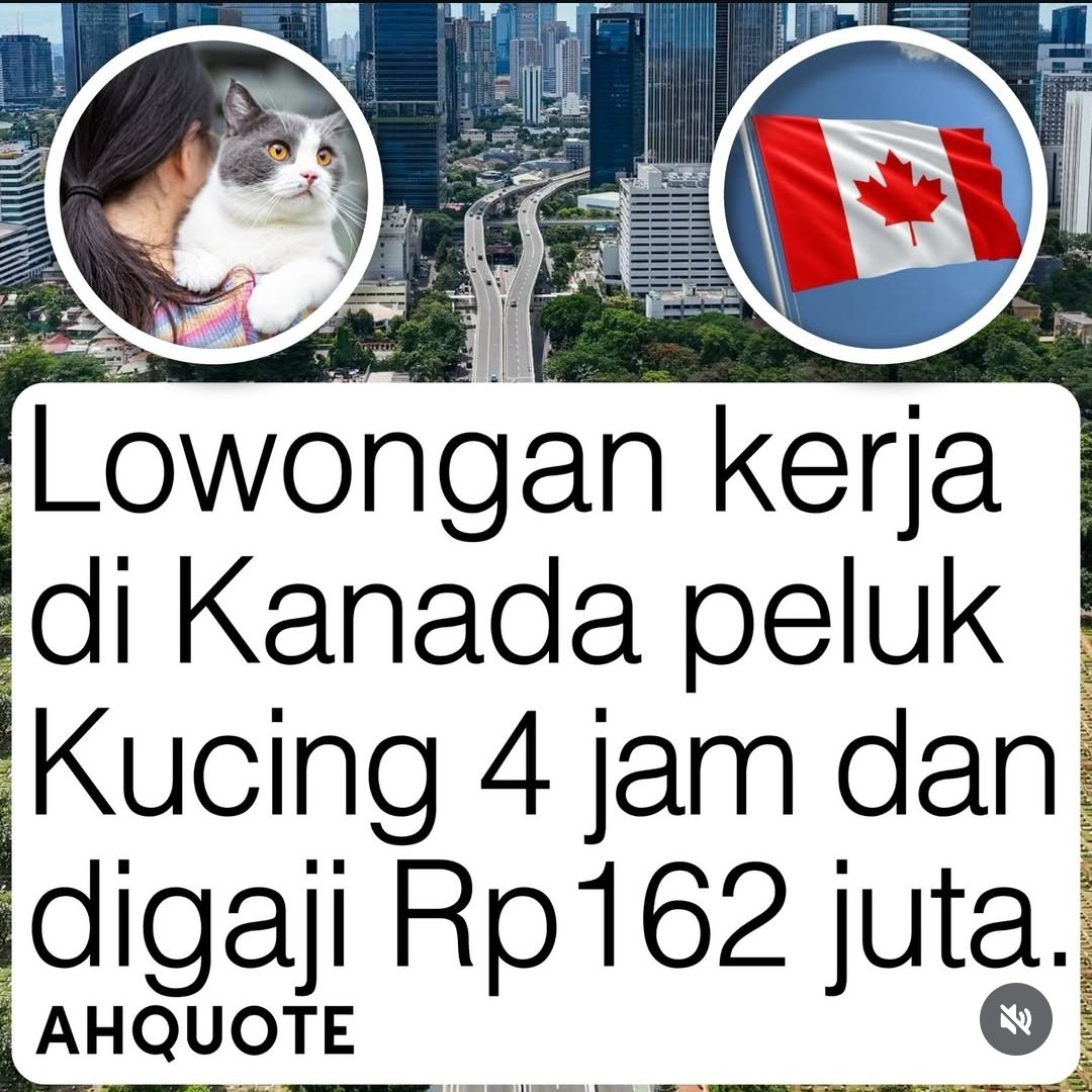 Having u tweet media