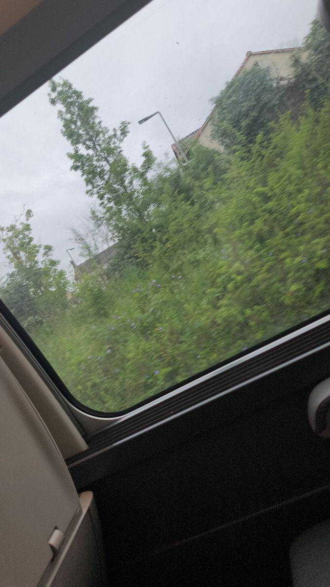 M8 FireWat tweet media