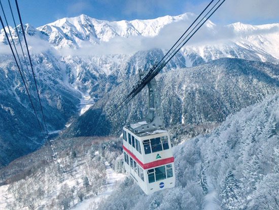 🇯🇵星空音夢🇯🇵チーズ警察👮 tweet media