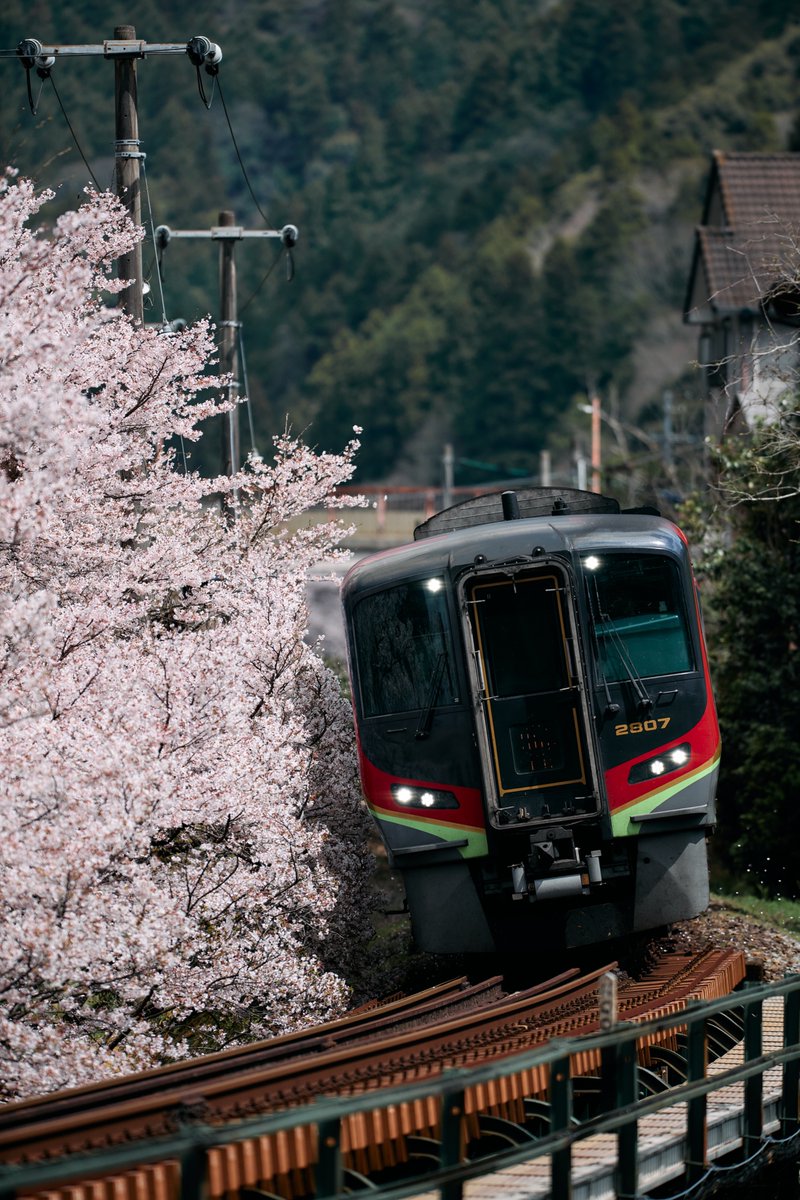 雲の神 tweet media