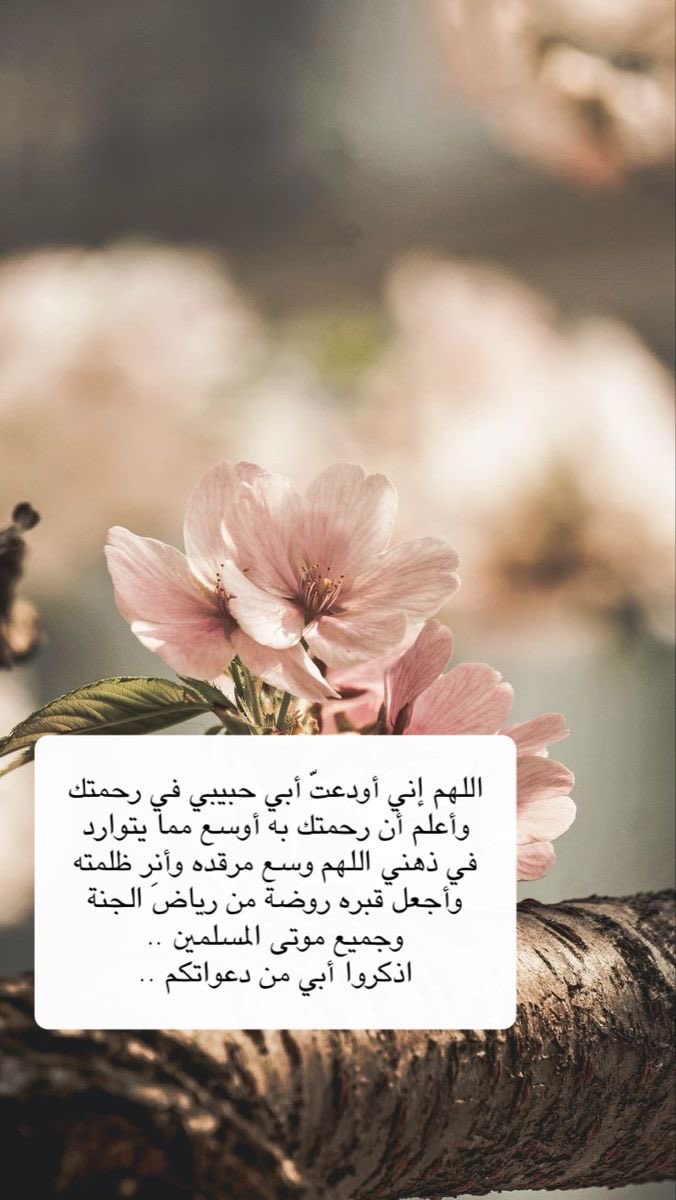 #دعاء_الجمعة #صدقة_جارية