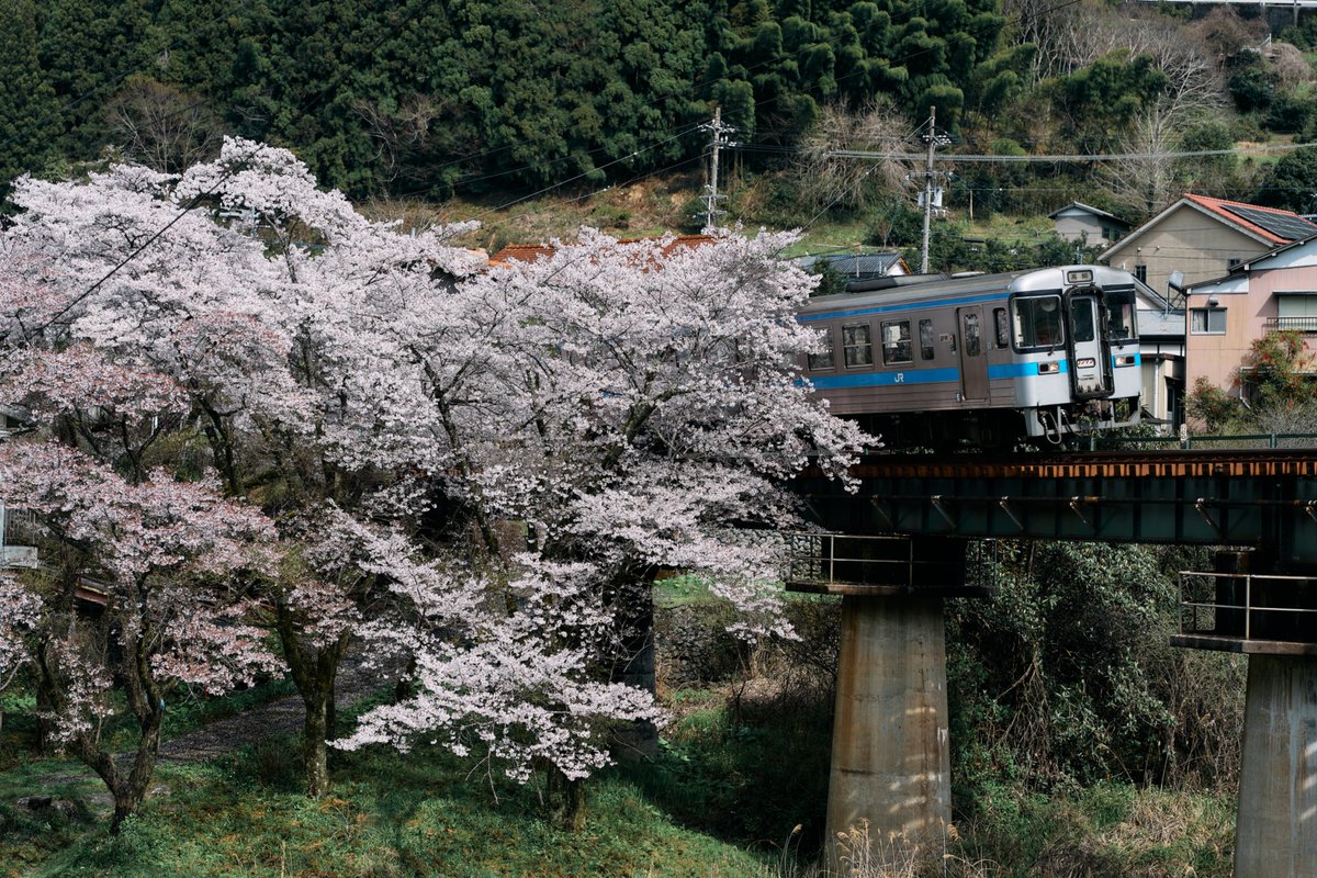 雲の神 tweet media